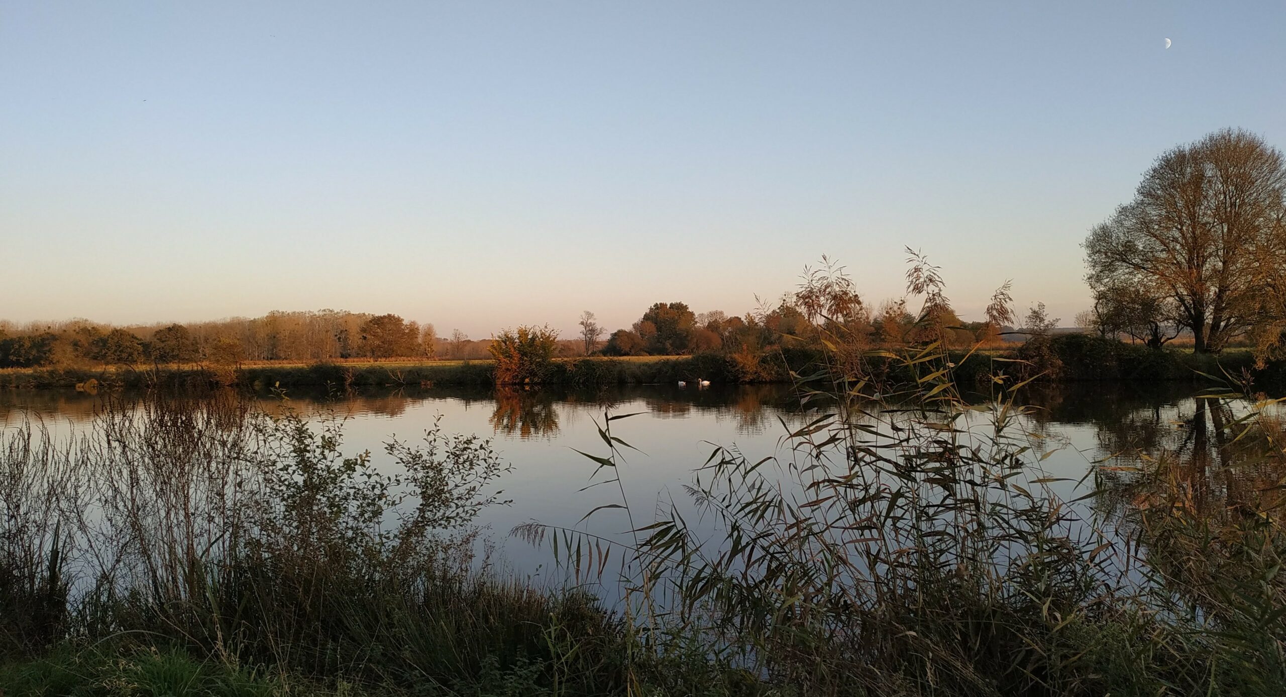 Rivière avec végétation